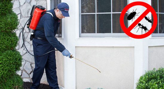 Hocalar Kemirgen İlaçlama böcek ilaçlama ve haşere kontrolü — ilaclama-tr.com